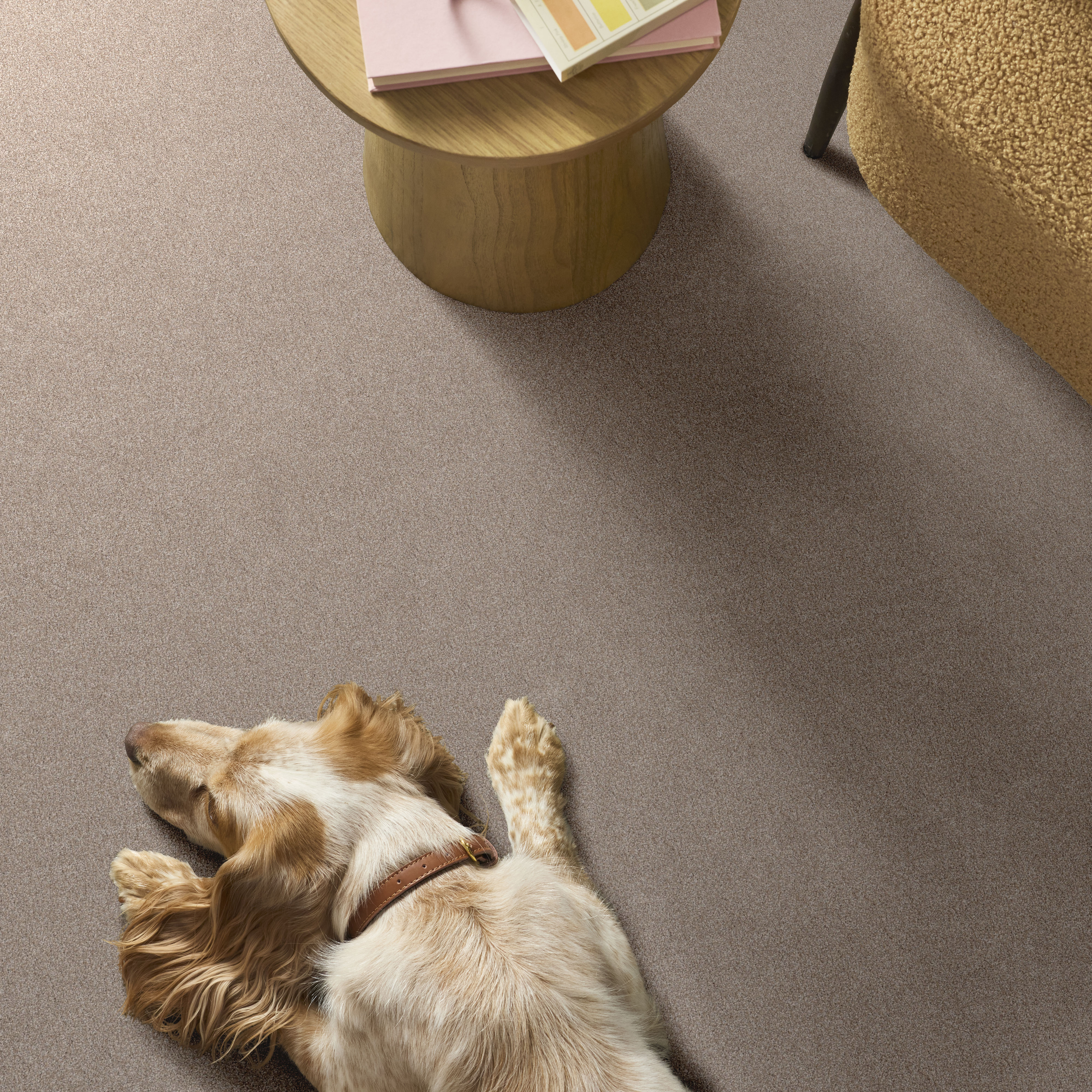 Vivid Touch I - Baja Carpet | Shaw Floors
